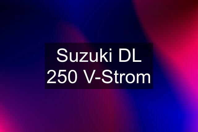 Suzuki DL 250 V-Strom