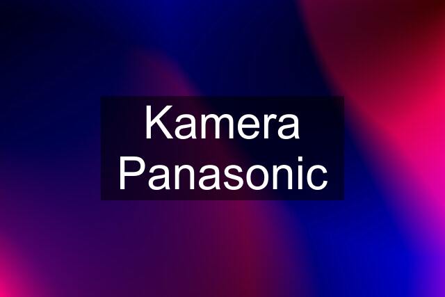 Kamera Panasonic