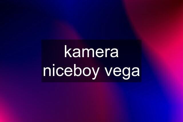 kamera niceboy vega