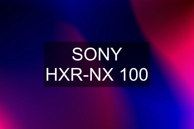 SONY HXR-NX 100