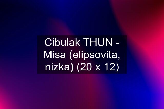 Cibulak THUN - Misa (elipsovita, nizka) (20 x 12)
