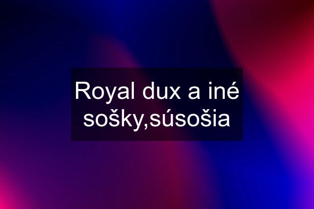 Royal dux a iné sošky,súsošia