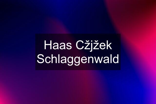 Haas Cžjžek Schlaggenwald