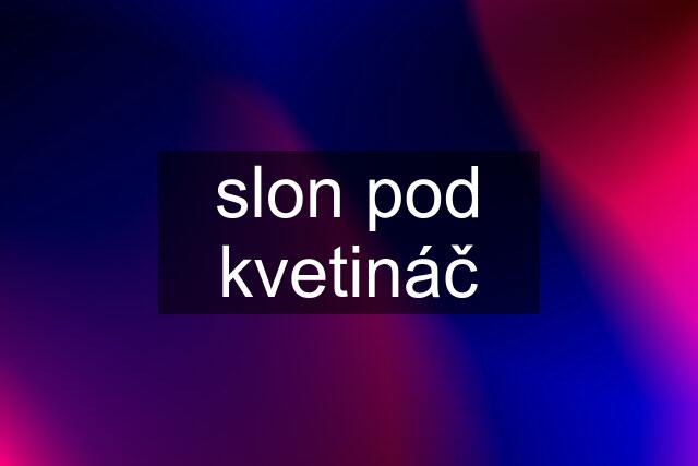 slon pod kvetináč