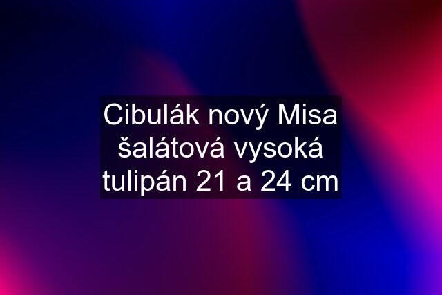 Cibulák nový Misa šalátová vysoká "tulipán" 21 a 24 cm