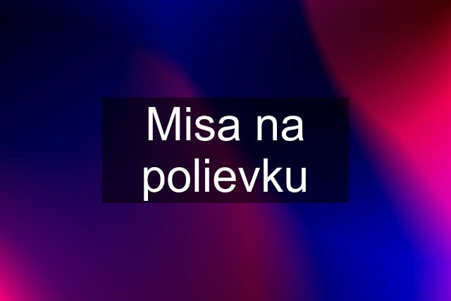 Misa na polievku