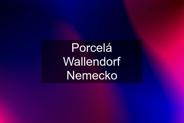 Porcelá Wallendorf Nemecko