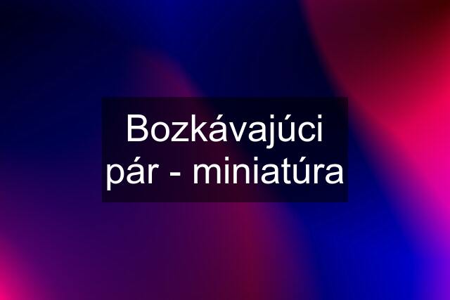 Bozkávajúci pár - miniatúra