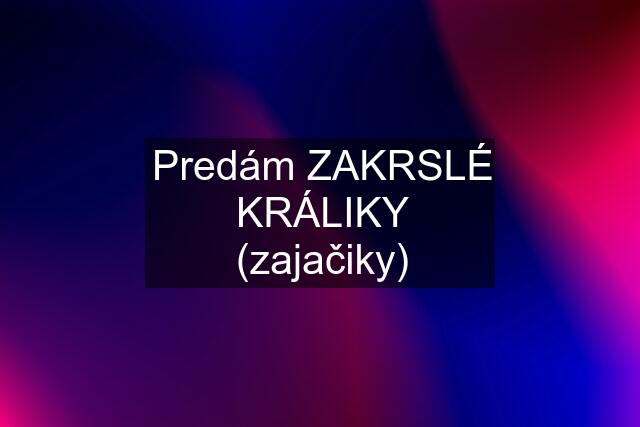 Predám ZAKRSLÉ KRÁLIKY (zajačiky)