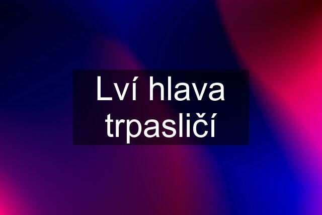 Lví hlava trpasličí