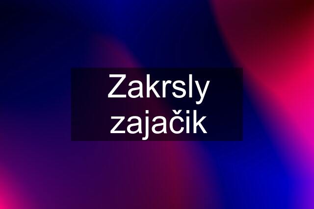 Zakrsly zajačik