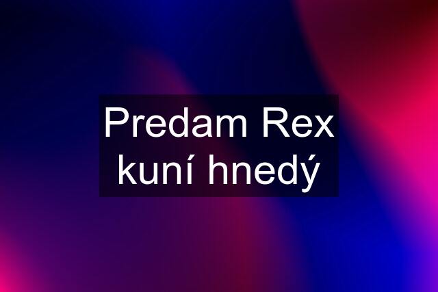 Predam Rex kuní hnedý