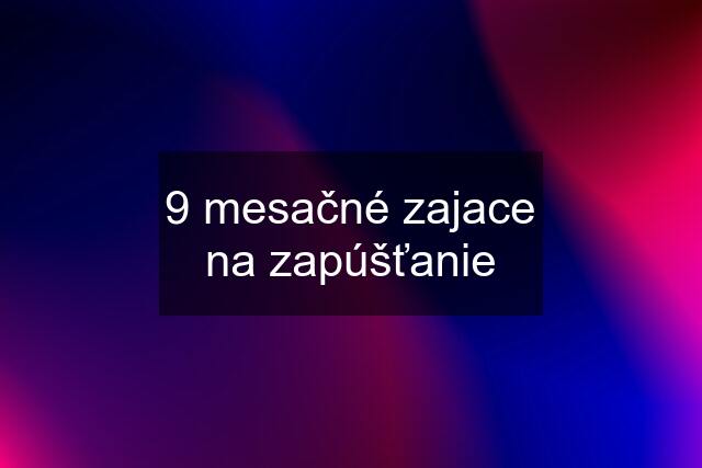 9 mesačné zajace na zapúšťanie