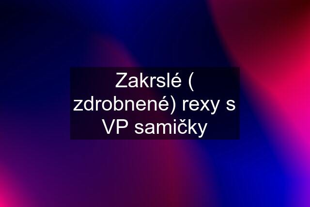 Zakrslé ( zdrobnené) rexy s VP samičky