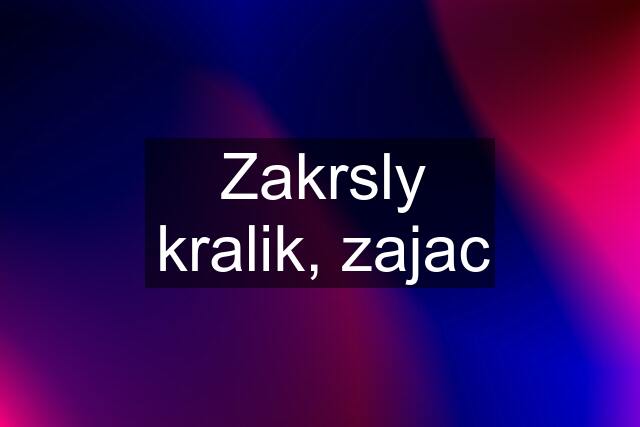 Zakrsly kralik, zajac