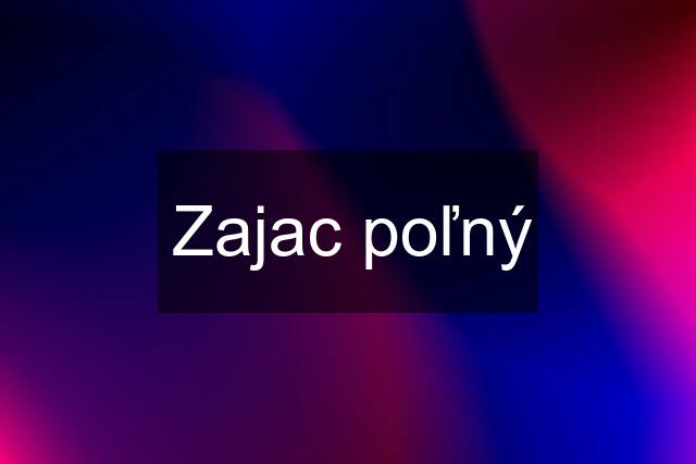 Zajac poľný