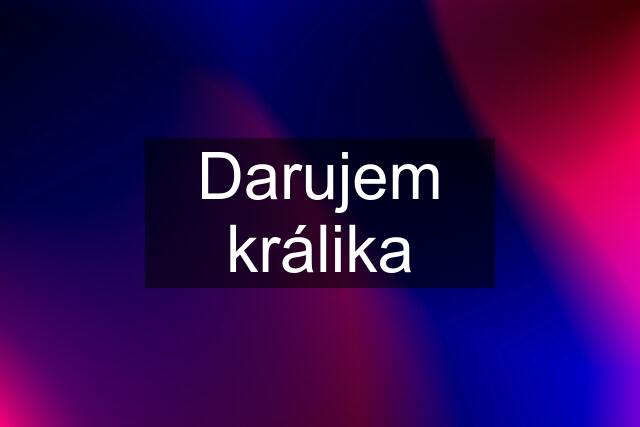 Darujem králika