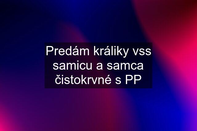 Predám králiky vss samicu a samca čistokrvné s PP