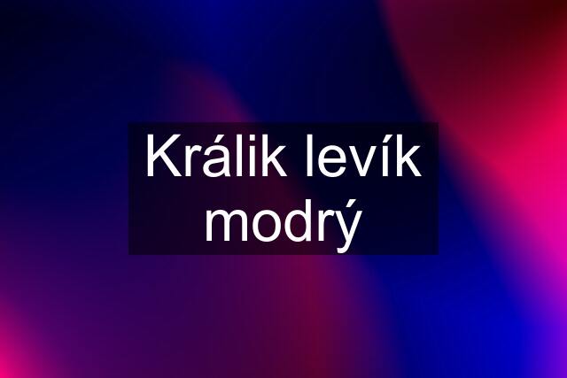 Králik levík modrý