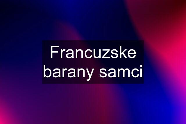 Francuzske barany samci