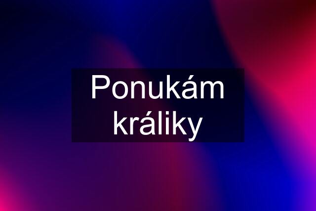 Ponukám králiky