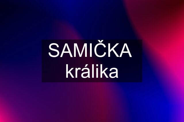 SAMIČKA  králika