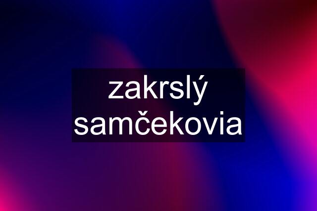 zakrslý samčekovia