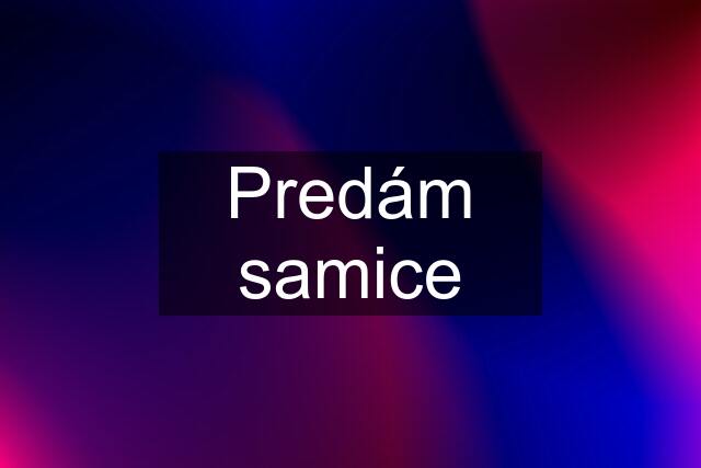 Predám samice