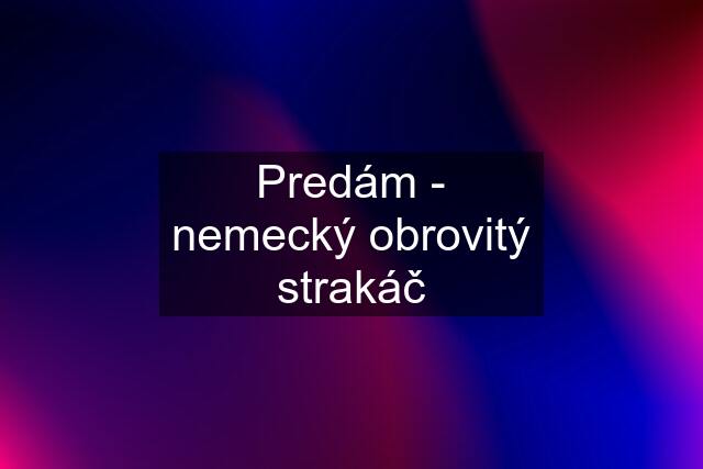 Predám - nemecký obrovitý strakáč