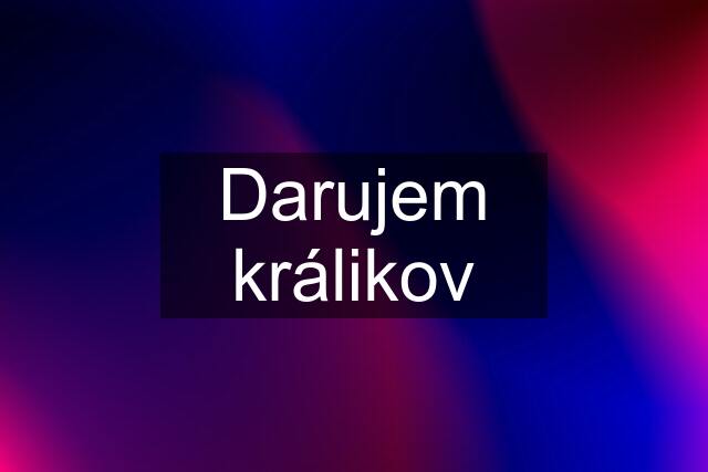 Darujem králikov