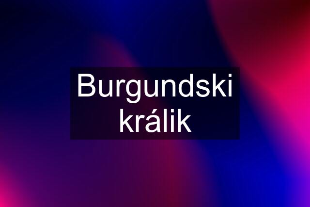 Burgundski králik