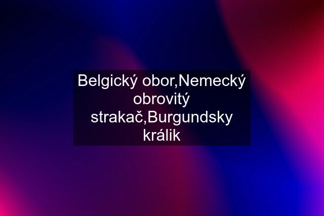 Belgický obor,Nemecký obrovitý strakač,Burgundsky králik