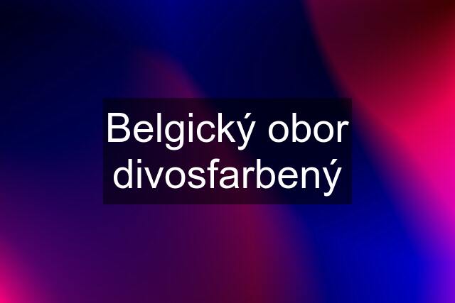 Belgický obor divosfarbený