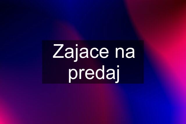 Zajace na predaj