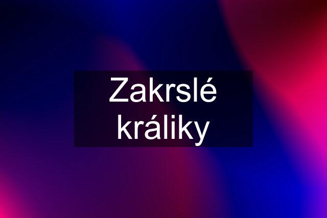 Zakrslé králiky