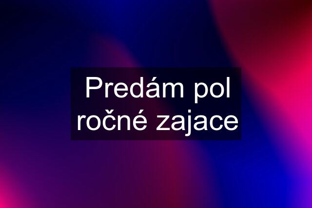 Predám pol ročné zajace