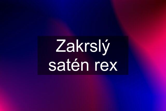 Zakrslý satén rex