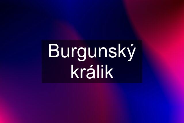 Burgunský králik