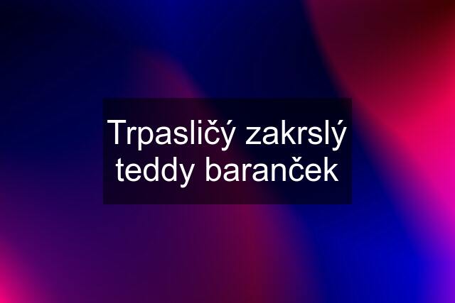 Trpasličý zakrslý teddy baranček