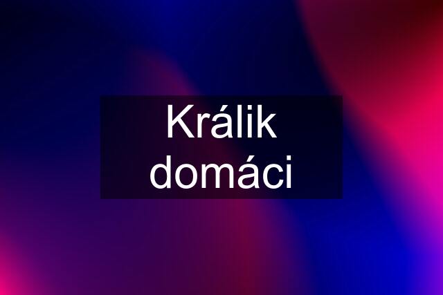 Králik domáci