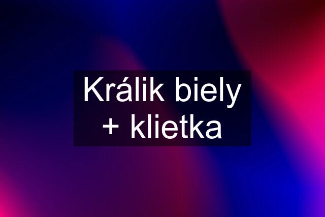 Králik biely + klietka