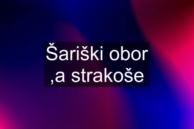 Šariški obor ,a strakoše