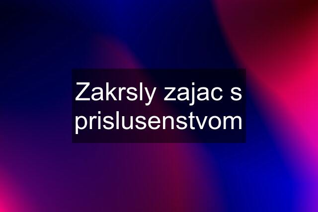 Zakrsly zajac s prislusenstvom