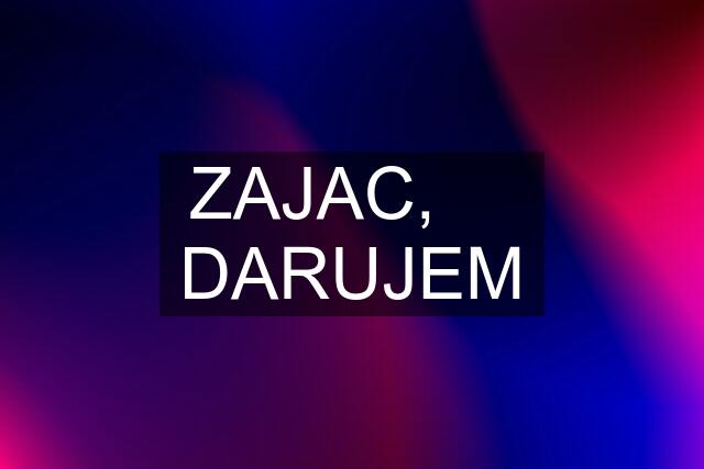 ZAJAC,     DARUJEM