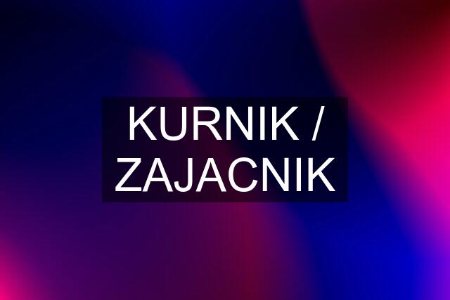 KURNIK / ZAJACNIK