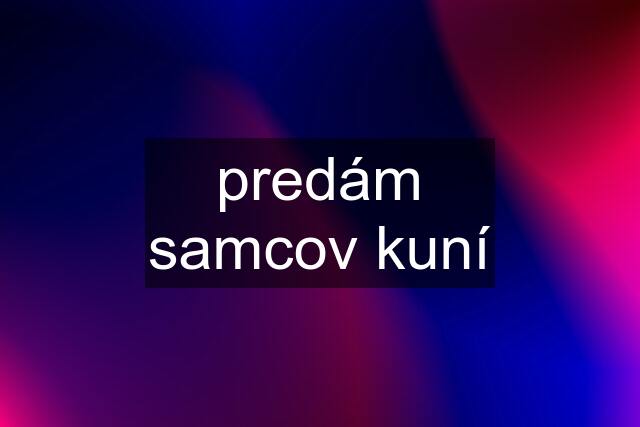 predám samcov kuní