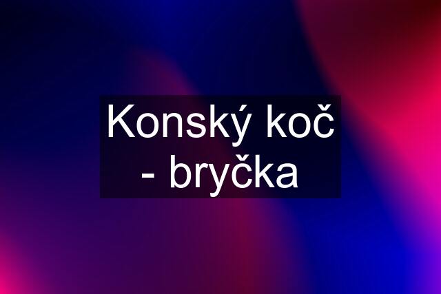 Konský koč - bryčka