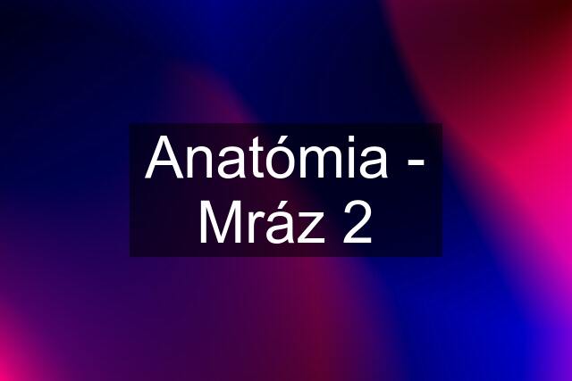 Anatómia - Mráz 2