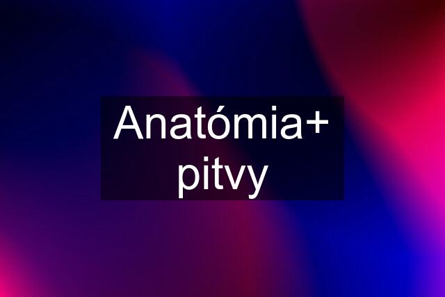 Anatómia+ pitvy