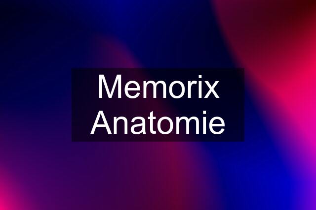 Memorix Anatomie